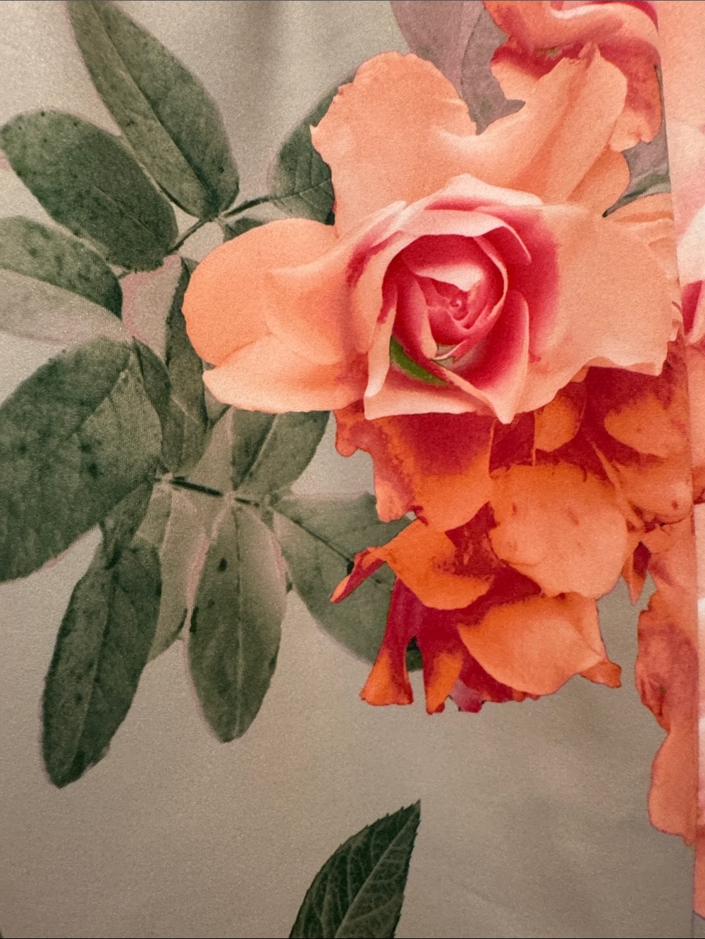 Calvin Klein Peach and Pink Floral Cream Midi Dress - Picture 5 of 6